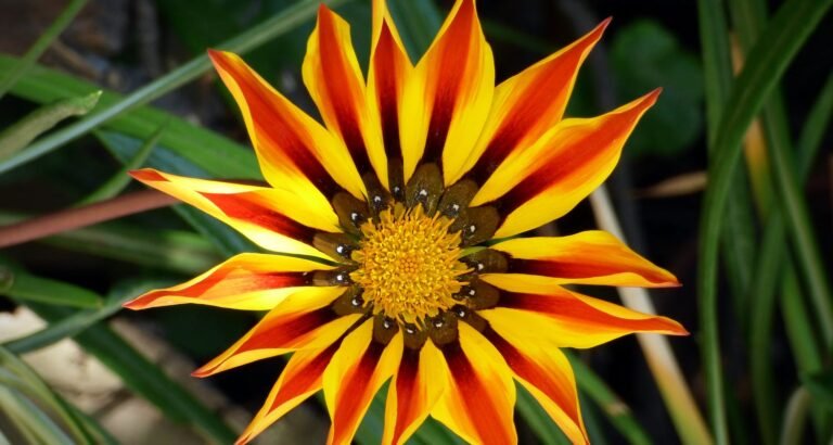 Top Skincare Products You Can’t Live Without