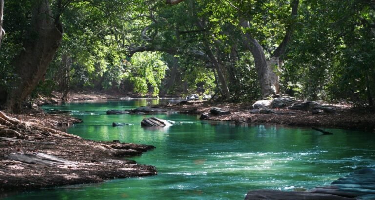 Physician’s Tips To Look Healthy And Younger