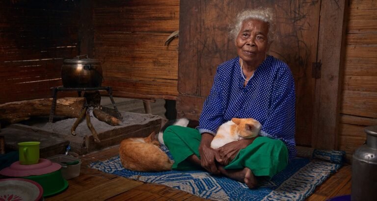 Need Help Caring For Your Cat? Try These Tips