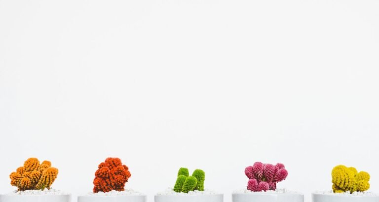 Use These Tips To Look Your Best