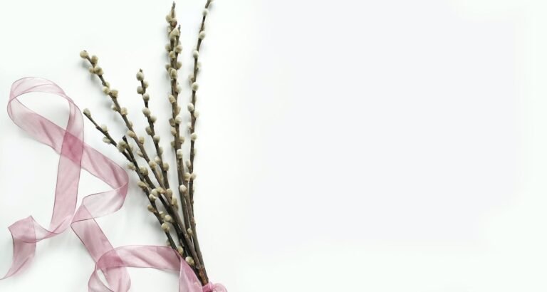 Get The Look You Want: Beauty Tips And Tricks